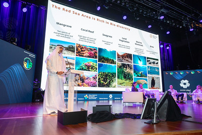 Enhancing Environmental Compliance and Sustainability for SMEs in Saudi Arabia